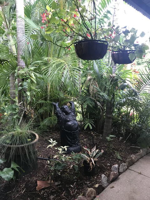 Bali Inspired Hideaway With Tropical Villa & Plunge Pool - Palm Beach Accommodation 3