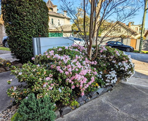 Riverside Haven On City Doorstep - Palm Beach Accommodation 1