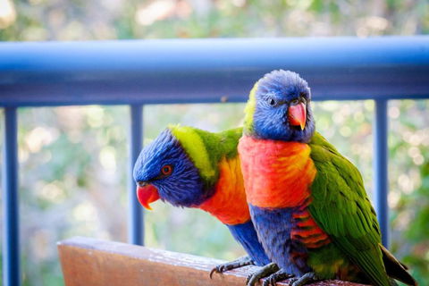 Sanctuary Lake Apartments - Palm Beach Accommodation 1