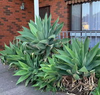 Beautiful Bedroom in Bentleigh East - Palm Beach Accommodation
