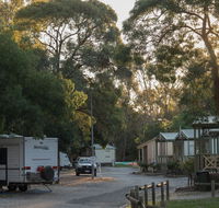 BIG4 Seymour Holiday Park - Palm Beach Accommodation