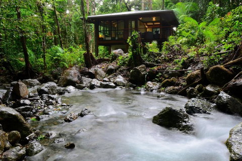 Black Palm Cape Tribulation - Palm Beach Accommodation 2