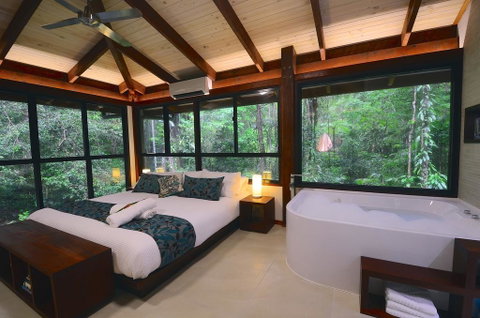Black Palm Cape Tribulation - Palm Beach Accommodation 3