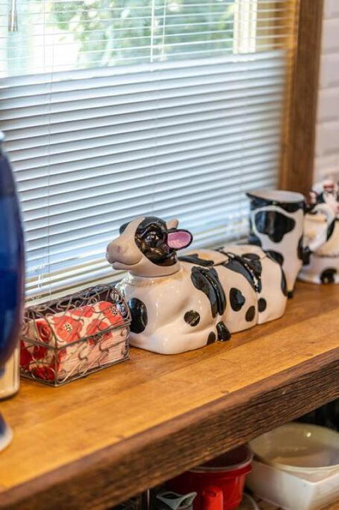 The Spotted Cow,city Fringe,pet Friendly-Free Wine - Palm Beach Accommodation 2