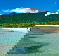 5-Day Best of Cairns with Daintree Kuranda and Great Barrier Reef - Palm Beach Accommodation