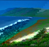 Cairns Reef and Rainforest Combo Daintree Rainforest and the Great Barrier Reef - Palm Beach Accommodation