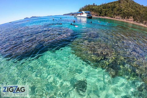 Whitehaven Beach Day Tour With Snorkel In Whitsundays Island - Palm Beach Accommodation 5