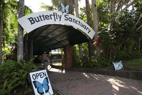 Kuranda Day Trip From Port Douglas Upgrade To Skyrail & Scenic Train Available - Palm Beach Accommodation 0