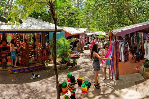 Kuranda Day Trip From Port Douglas Upgrade To Skyrail & Scenic Train Available - Palm Beach Accommodation 2