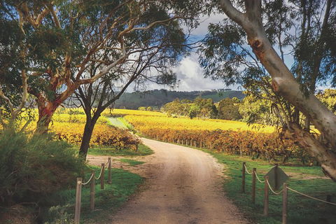 McLaren Vale Winery Small Group Tour With Wine Tasting And Lunch - Palm Beach Accommodation 1