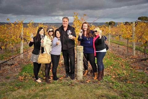 McLaren Vale Winery Small Group Tour With Wine Tasting And Lunch - Palm Beach Accommodation 3