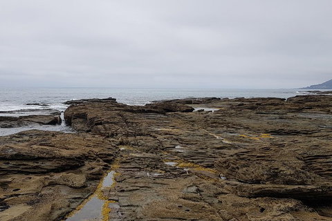 Luxury Private Great Ocean Road Tour Up To 11 People - Entire Vehicle - Palm Beach Accommodation 1