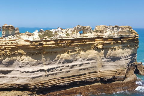 Luxury Private Great Ocean Road Tour Up To 11 People - Entire Vehicle - Palm Beach Accommodation 4