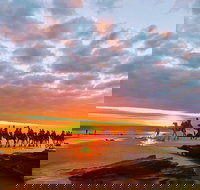 1 Hour Broome Sunset Camel Tour - Palm Beach Accommodation