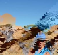 Broome Pre-sunset Camel Tour 30 minutes - Palm Beach Accommodation