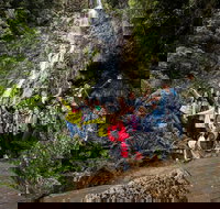 5-Day Lap of Tasmania Tour from Hobart flexible ticket - Palm Beach Accommodation