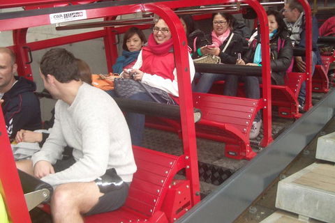 Full-Day Private Blue Mountains Tour With River Cruise - Palm Beach Accommodation 0