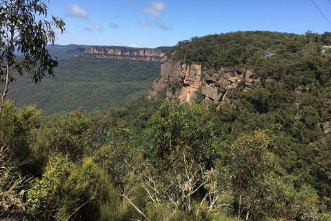 Full-Day Private Blue Mountains Tour With River Cruise - Palm Beach Accommodation 1