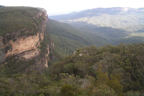 Full-Day Private Blue Mountains Tour With River Cruise - Palm Beach Accommodation 3