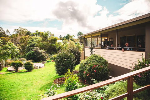 Full-day Springbrook National Park Tour From The Gold Coast - Palm Beach Accommodation 2