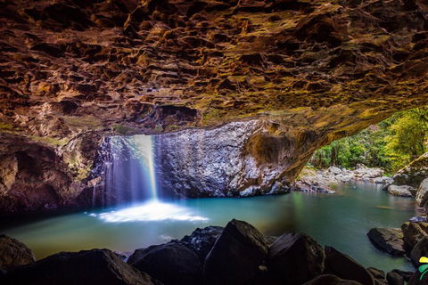 Full-day Springbrook National Park Tour From The Gold Coast - Palm Beach Accommodation 3