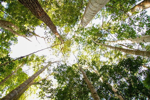 Fraser Island 4WD Tour From Noosa - Palm Beach Accommodation 0