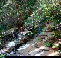 Fraser Island 4WD Tour from Rainbow Beach - Palm Beach Accommodation