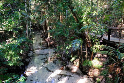 Fraser Island 4WD Tour From Rainbow Beach - Palm Beach Accommodation 0
