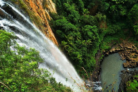 Private Tour - Rainforest & Waterfalls Extravaganza - Palm Beach Accommodation 2
