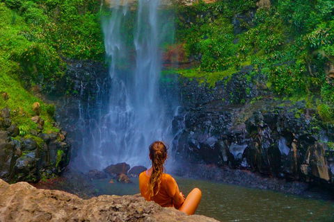 Private Tour - Rainforest & Waterfalls Extravaganza - Palm Beach Accommodation 3
