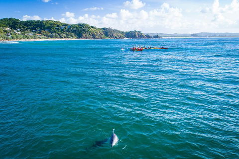 The Byron Bay Sea Kayak Tour - Palm Beach Accommodation 2