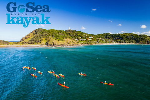 The Byron Bay Sea Kayak Tour - Palm Beach Accommodation 3