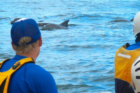 The Byron Bay Sea Kayak Tour - Palm Beach Accommodation 4