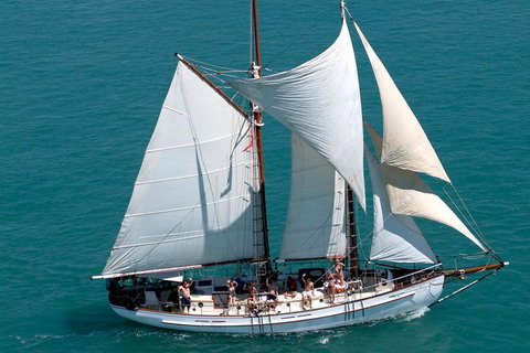 Whitehaven Beach Sailing And Snorkeling Cruise - Palm Beach Accommodation 5