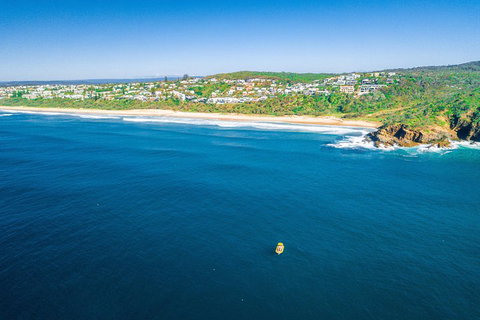 Noosa Oceanrider Scenic Dolphin Safari - Palm Beach Accommodation 4