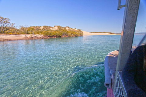 1770 Coastline Tour By LARC Amphibious Vehicle Including Picnic Lunch - Palm Beach Accommodation 5