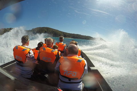 Noosa Thriller - 500hp Ocean Adventure Ride - Palm Beach Accommodation 3