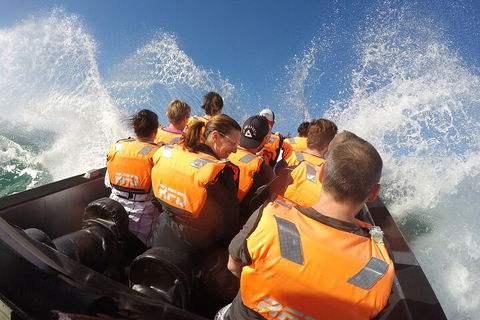 Noosa Thriller - 500hp Ocean Adventure Ride - Palm Beach Accommodation 4