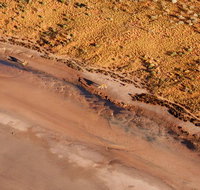 Scenic Flight Lizard Safari - Palm Beach Accommodation