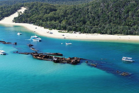 All Inclusive Tangalooma Wrecks Cruise Tour From Gold Coast - Palm Beach Accommodation 0