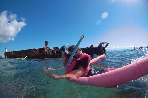 All Inclusive Tangalooma Wrecks Cruise Tour From Gold Coast - Palm Beach Accommodation 3