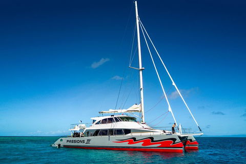 Passions Of Paradise Great Barrier Reef Snorkel And Dive Cruise From Cairns By Luxury Catamaran - Palm Beach Accommodation 0
