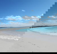 Shipwreck Special Nature Tour/Half Day Tour - Palm Beach Accommodation