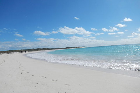 Shipwreck Special Nature Tour/Half Day Tour - Palm Beach Accommodation 0