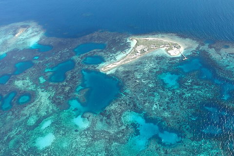 Shipwreck Special Nature Tour/Half Day Tour - Palm Beach Accommodation 5