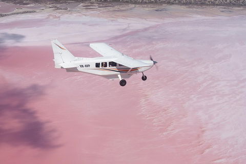 Pink Lake + Abrolhos Islands Nature Tour - Palm Beach Accommodation 0