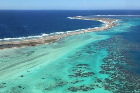 Pink Lake + Abrolhos Islands Nature Tour - Palm Beach Accommodation 2