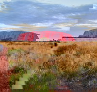 Uluru Ayers Rock Sunset with Outback Barbecue Dinner and Star Tour - Palm Beach Accommodation