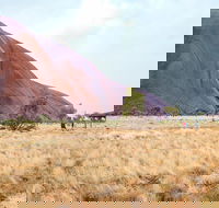 Uluru Sunrise and Guided Base Walk - Palm Beach Accommodation