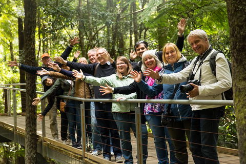 All Inclusive Blue Mountains Small-Group Day Trip From Sydney - Palm Beach Accommodation 5